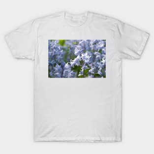 Bluebells flowering in late Spring - Yorkshire, UK T-Shirt
